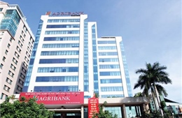 Agribank xử lý dứt điểm nợ xấu, quyết liệt  triển khai Nghị quyết 42